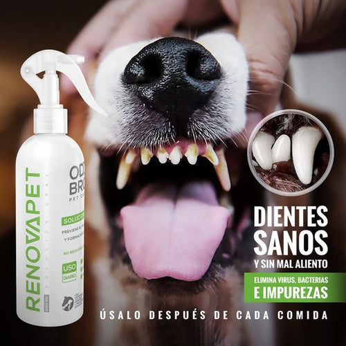 RENOVAPET ORAL🐶- ADIOS AL MAL ALIENTO DE TU ENGREIDO