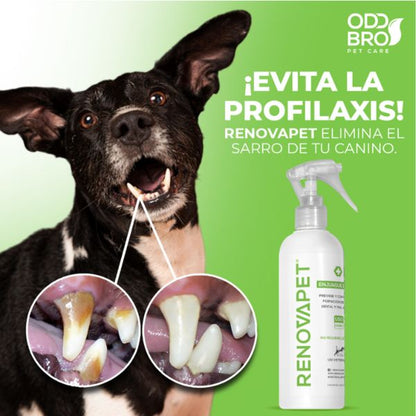 RENOVAPET ORAL🐶- ADIOS AL MAL ALIENTO DE TU ENGREIDO