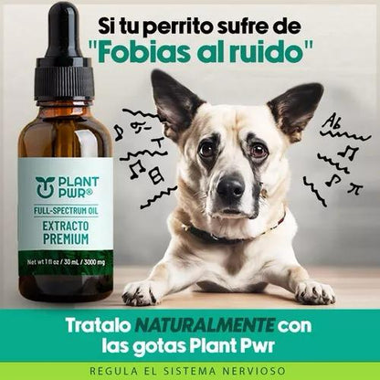 PLANT PWR PETS™ ⭐⭐⭐⭐⭐ NUEVA FORMULA PARA CALMAR DOLORES, ANSIEDAD - ESTRES Y PROLOGAR LA VIDA DE TU MASCOTA.