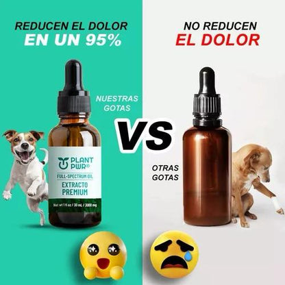 PLANT PWR PETS™ ⭐⭐⭐⭐⭐ NUEVA FORMULA PARA CALMAR DOLORES, ANSIEDAD - ESTRES Y PROLOGAR LA VIDA DE TU MASCOTA.