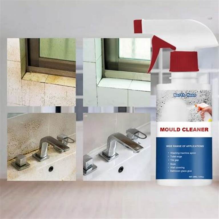 MILDEW REMOVAL SPRAY ™ ⭐⭐⭐⭐⭐ELIMINA EL MOHO DE TUS PAREDES Y SARROS