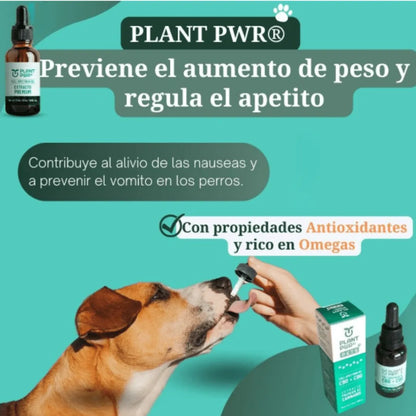 PLANT PWR PETS™ ⭐⭐⭐⭐⭐ NUEVA FORMULA PARA CALMAR DOLORES, ANSIEDAD - ESTRES Y PROLOGAR LA VIDA DE TU MASCOTA.