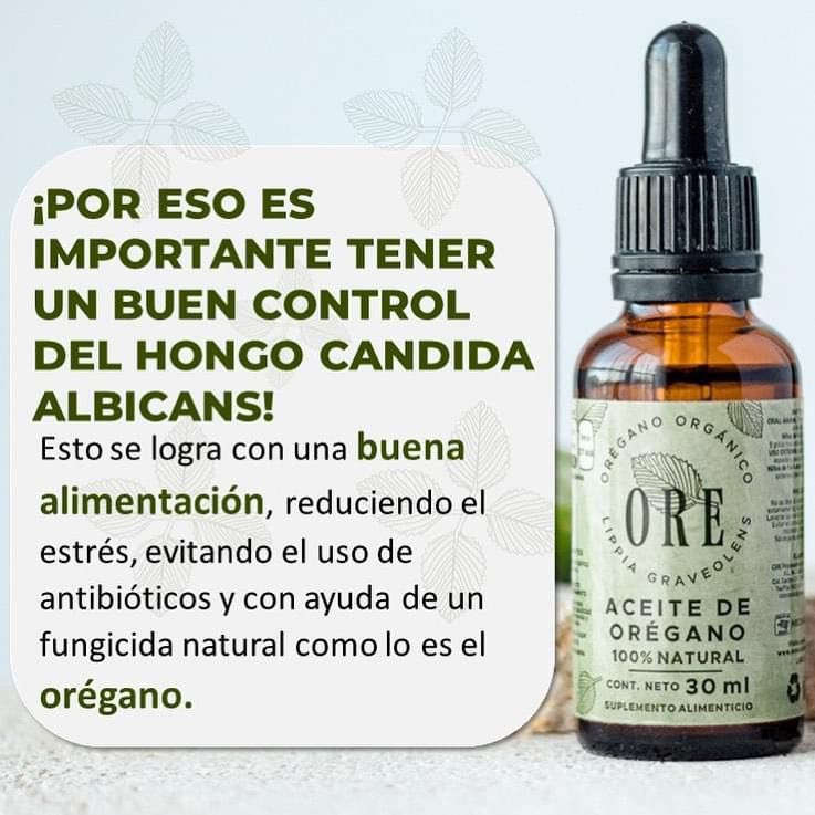 ORÉGANO ORGANICO ORE ™ ⭐⭐⭐⭐⭐ ELIMINA LA SINUSITIS, ALERGIAS Y COLICOS