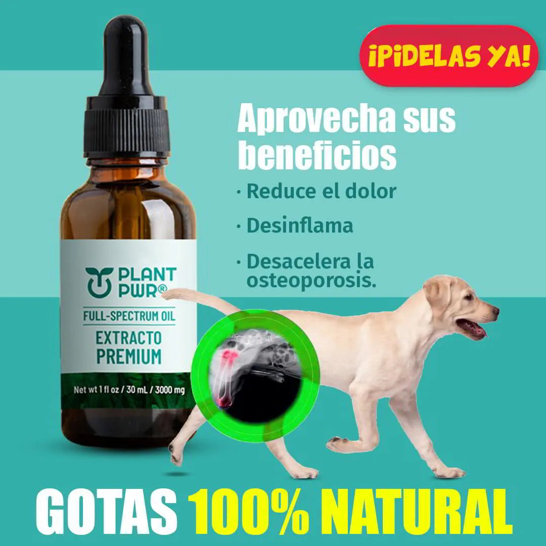 PLANT PWR PETS™ ⭐⭐⭐⭐⭐ NUEVA FORMULA PARA CALMAR DOLORES, ANSIEDAD - ESTRES Y PROLOGAR LA VIDA DE TU MASCOTA.